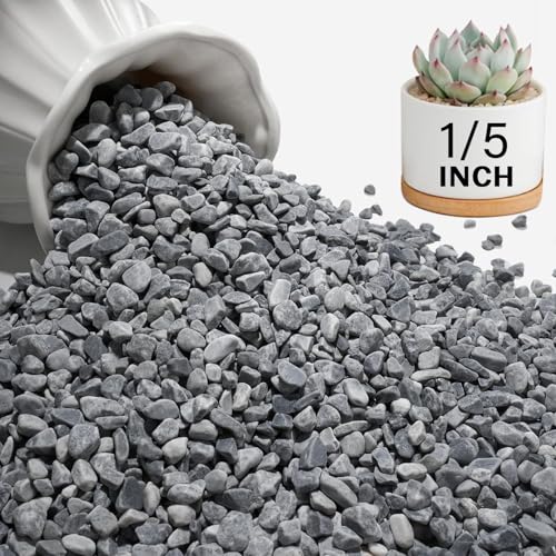 NUPICK 3 lbs Pebbles for Indoor Plants, 1/5 Inch Pea Gravel for Fish Tank, Decorative Rocks for Succulent, Natural River Stones for Vases, Cactus, Landscaping, Bird Bath, Aquarium, Grey - color: Grey, size: 3 lb
