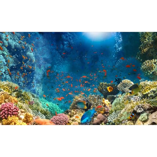 Under The Sea Aquarium Background Colourful Corals Reefs Underwater Marine Views Fish Tank Background Ocean Lives Landscape Terrarium Background Tropical Fishes Aquarium Backdrop Decors 24x12in - color: Marine Brown, size: 24(W)x12(H)inches/ 60(W)*30cm(H)