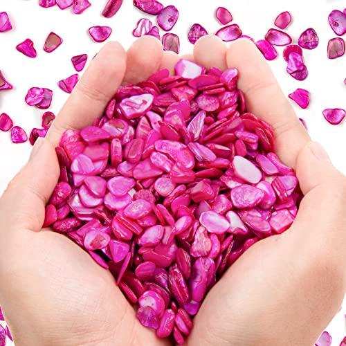 QICQDRAM Crushed Shells for Crafts About 2LB (900g/31.74oz) Small Natural Crushed Shells Bulk for Crafts DIY Beaching Wedding Decoration Vase Fillers - color: Rose Red, size: 2LB (900g/31.74oz)