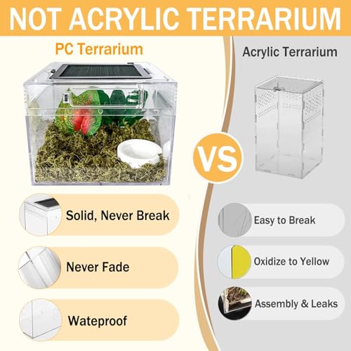 Reptile Terrarium, Jumping Spider Enclosure Starter Kit, Leopard Gecko Habitat Container, 8"x8"x6"Reptile Tank for Tarantula, Hermit Crab, Insect, Fish, Frog, Small Bearded Dragon, Lizard - size: 8"x8"x6"