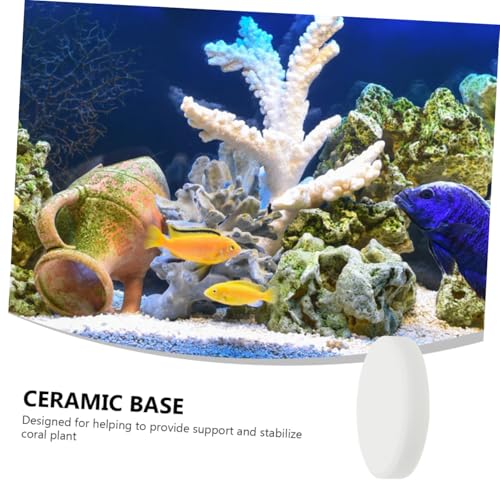 10pcs Fish Tank Coral Base Terrarium Cave Sand Stand Coral Breeding Bases Gasket Large Fish Tank Ornaments Gel Pad Coralline Serving Tray Round Conch Siphon Ceramics