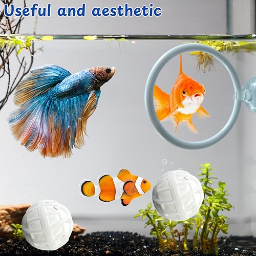 Betta Fish Exercise Ring and Filter Balls Set, Betta Ring Training Loop with Suction Cup and Nitrifying Ball, Betta Enrichment Toys, Aquarium Toys for Fish Turtle Tank Small Fish Tank (White, M-73mm) - color: White, size: M-73mm