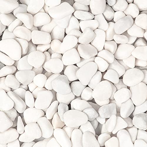 5lbs White Natural River Rocks, Polished Pebbles for Plants Garden, 0.3-0.8 inch Decorative White Stones, Ideal for Fish Tank, Vases, Crafting, Home Decor and Garden Landscaping Rocks,White - size: 5 Pounds, style: Snow White