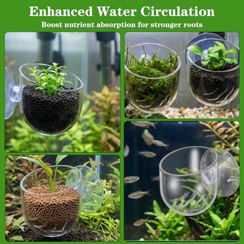 2 Pcs Aquarium Plant Holder, Live Aquarium Plants Holder with Suction Cup, Plastic Fish Tank Plant Pots, Clear Red Worm Fish Feeder for Aquascape Decoration