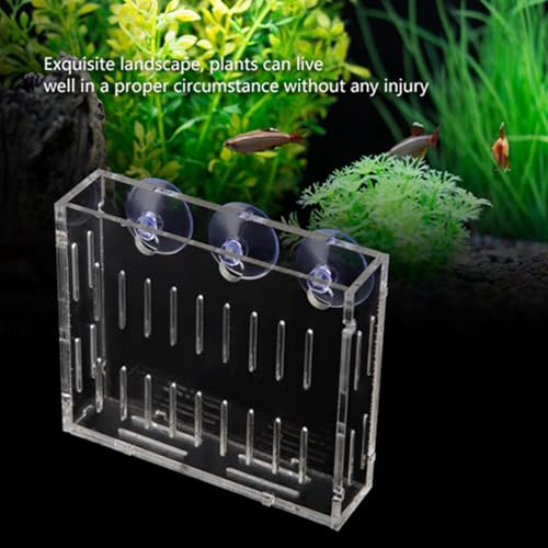 Aquarium Plant Holder, Fish Tank Plant Holder Cup, Acrylic Planter Grass Container with Suction Cups for Water Feature Decoration