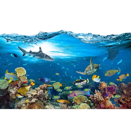 Under The Sea Aquarium Background Tropical Marine Colorful Coral Reef Panorama Terrarium Background Blue Sea with Sunbeams Fish Tank Backdrop Deep Sea Tropical Fish Groups Backdrops 24x12in - color: Marine Blue, size: 24(W)x12(H)in