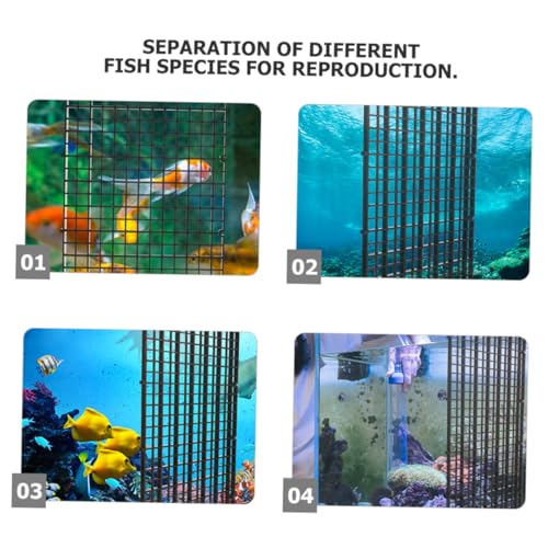 Toyvian 1set Aquarium Divider for Fish Tanks High- Isolation Board Cups for Fish Species Panels Cups
