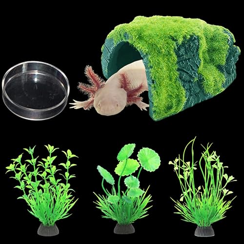 Axolotl Hides for Aquarium with Feeding Dish and Fake Plants Set, Axolotl Cave with Green Plants, Aquarium Decor, Fish Tank Decorations, Turtle Tank Accessories (Cave+Plant+Feeding Dish, L) - color: Cave+Plant+Feeding Dish, size: L