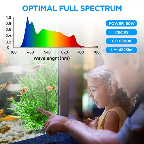 Lominie LED Aquarium Light, Dimmer Remote Control 0-100% Brightness 80W Planted Fish Tank Light Clamp Clip Lamp for Freshwater Refugium Algae Fish Tank with Gooseneck - size: A120 Freshwater