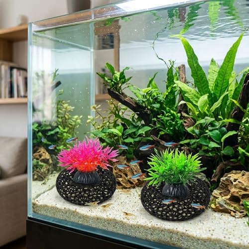 4PCS Shrimp Hides for Aquarium, Natural Shrimp Hide and Shrimp Cave Decorations, Four Aquarium Decorations for Shrimp Tank, Two Shrimp Caves and Two Grass Decorations
