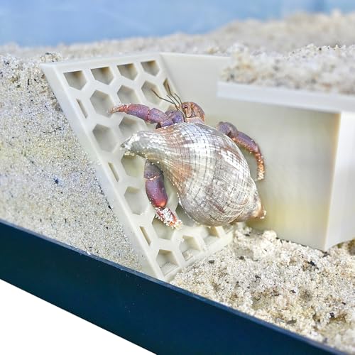 Hermit Crab Underground Tunnel Cave Corner | Hermit Crab Climbing Tank Decor Hide Hideout | Enrichment Habitat Hideaway Decoration Accessories Supplies Toys Ornaments (Beach Sand White) - color: Beach Sand White