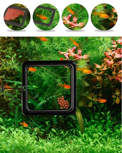 Fish Feeding Ring, 2 Pack Black Aquarium Floating Food Feeder Circle Small Round and Square with Flexible Lever Suitable and Suction Cup, Reduces Fish Feeder Waste and Maintains Water Quality
