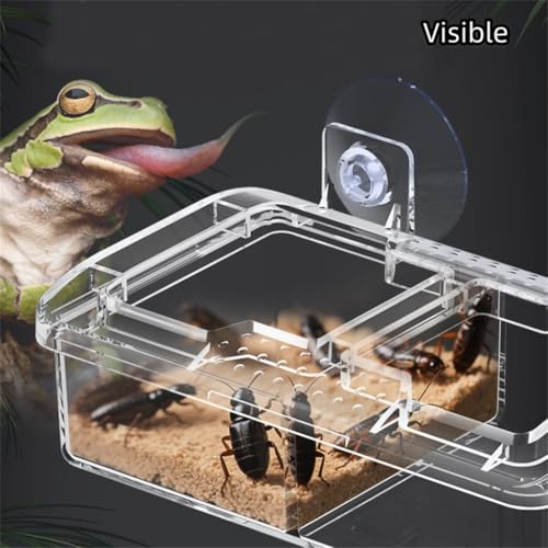 Escape Proof Reptile Feeding Dishes with Suction Cups, Plastic Anti-Escape Mealworms Bug Food Feeder Bowl for Lizard Leopard Gecko Chameleon Terrarium Tank Accessories