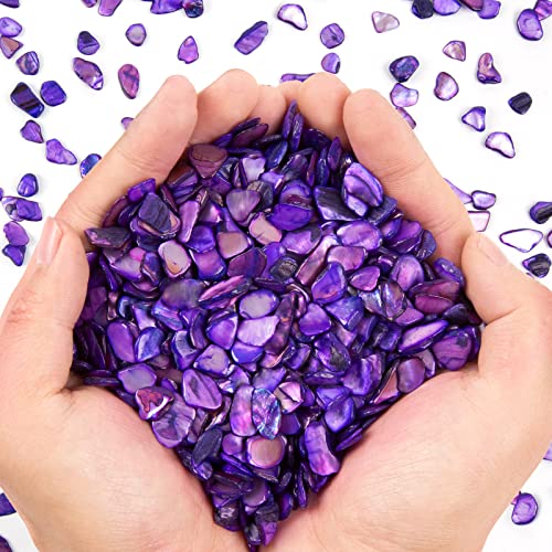 QICQDRAM Crushed Shells for Crafts About 2LB (900g/31.74oz) Small Natural Crushed Shells Bulk for Crafts DIY Beaching Wedding Decoration Vase Fillers - color: Purple, size: 2LB (900g/31.74oz)