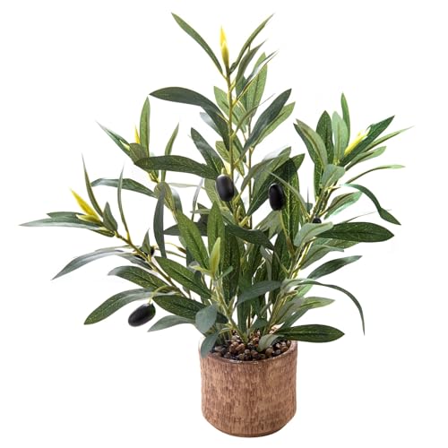 Indoor Fake Olive Plant 12 inch Faux Silk Leaves with Black Rustic Planter Medium Size Perfect Artificial Olive Fruits with Realistic Trunk and Lifelike Stems for Home and Office Decor - color: Plant a