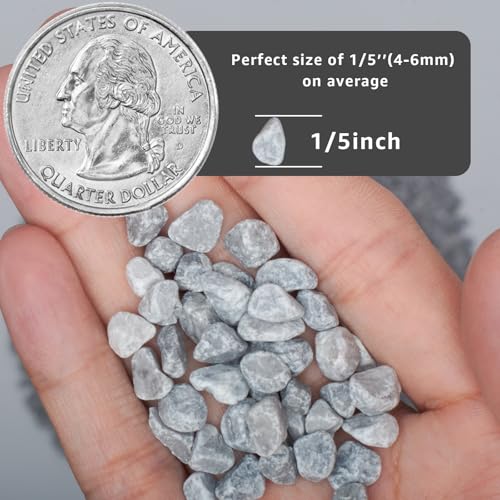 5lbs Natural Gravel Pebbles for Succulents and Cacti, 1/5 Inch Decorative River Stones – Perfect for Vases, Aquariums, Terrariums, and Outdoor Gardening, Mixed Colors (Grey, 5 Pounds) - color: Grey, size: 5 Pounds