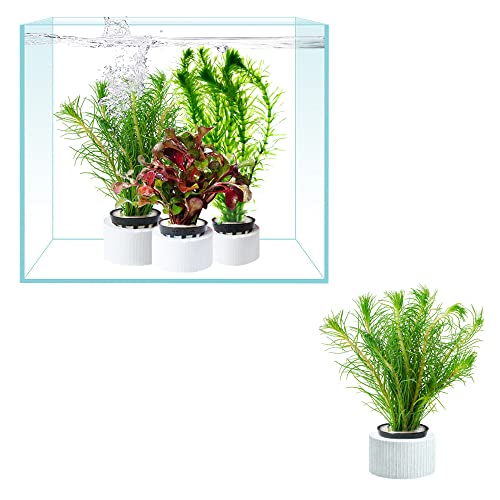 6 PCS Anti-Floating Ceramic Aquarium Plant Rings, Aquatic Plants Fixed Rings, Aquarium Landscape Ceramic Plant Fixing Aquarium Plant Weights Pot Fish Tank Accessories