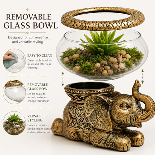Good Luck Elephant Terrarium Bowl – Antique Gold Elephant Figurine with Removable Glass Bowl, Succulent Planter, Candle Holder, Air Plant Display & Zen Home Décor Accent