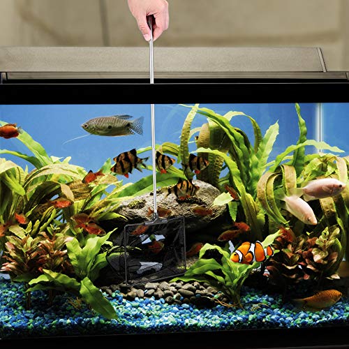 Lpraer Aquarium Fish Net with Extendable Stainless Steel Long Handle Fine Mesh Net for Fish Tank - size: Large