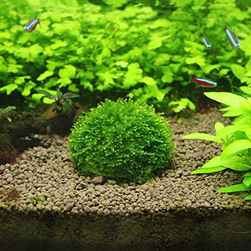 2PCS Aquarium Moss Ball Holder, Aquarium Landscaping Plants Holder Fish Tank Decoration for Aquarium Fish Tank