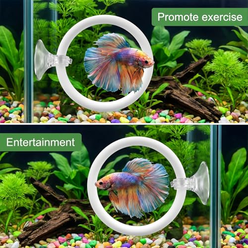 Betta Fish Tank Accessories, 2 Pcs Betta Exercise Ring and Bettas Mirror with Floating Ball, Plastic Bettas Fish Toys for Enrichment Aquarium, Fish Training & Play