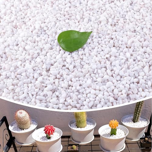 18lb 1/4" Small White Rocks for Plants,Potting,Succulents Aquarium Fish Tank Garden Vases Decorative Pebbles Gravel Rocks Stones - color: white, size: 18lb