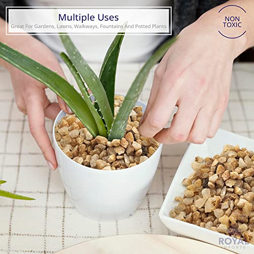 River Rocks Decorative Ornamental Vase Filler 0.25" Natural Aquarium Gravel - 5 lbs Landscaping Pebbles for Indoor Plants, Fish Tank Gravel, Terrarium & Home Decor, DIY & Crafting – Royal Imports - size: Mini - 5 lbs, style: Natural