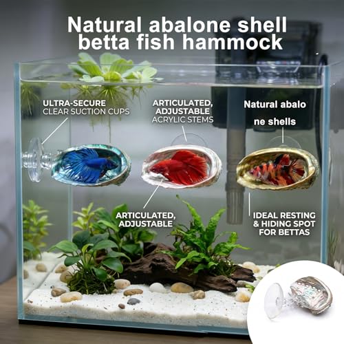 3 Pcs Betta Hammock, Rainbow Iridescent Floating Fish Cave, 3D Printed PLA Aquarium Resting Spot with Feeder Ring, Betta Hideout Shrimp Cave for Nano Tank
