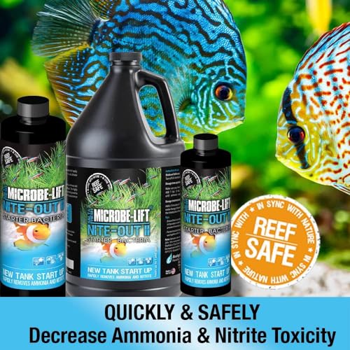 MICROBE-LIFT Nite-Out II Aquarium Bacteria for Start-up, Instantly Cycle Aquariums, Add Fish on Day 1, Rapid Ammonia and Nitrite Reducer for Freshwater & Saltwater Fish Tank, 1 Gallon 2-Pack - size: 1 Gallon (2 Pack)