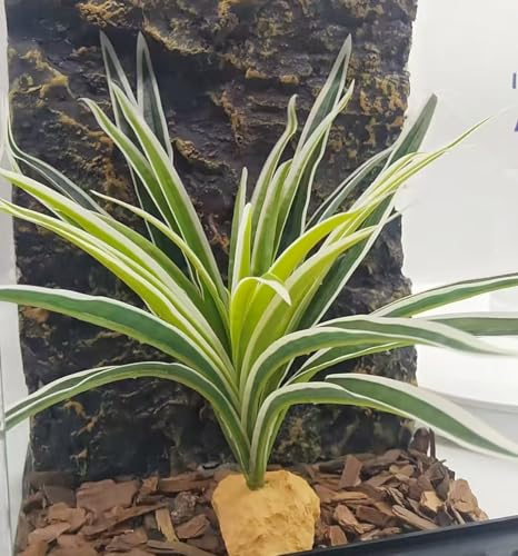 Reptile Terrarium Decor, Bearded Dragon Tank Accessories，Spider Plants for Crested Gecko Leopard Lizard Chameleon Ball Python Snake Frog - color: Fake Spider Plants