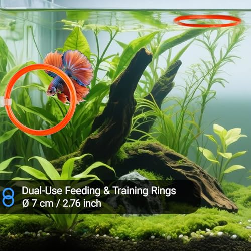 Betta Fish Toy Set: Betta Training Floating Mirror, Training/Feeding Ring, Spoon, and Resting Leaf. Promotes Exercise. Betta Toys, Resting & Feeding Kit, Orange - color: Orange