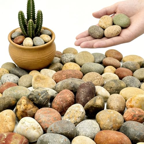 1-2 Inch Mixed Round Pebbles, Smooth River Rocks for Rock Painting, Indoor Plants, Vase Filler, Fish Tank, Aquarium Decor & Garden Landscaping, 18LB - color: 18LB, size: 1-2inch