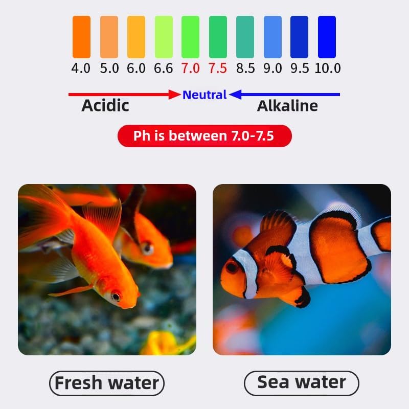 bio Balls for Aquarium Filter Media Pond Filter Material Ceramic Ring Aquarium for Fish Tank Media Bags All in 1 Accessories (1.1, Pounds)