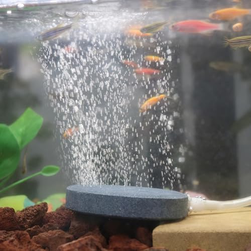 WishLotus Air Stones for Fish Tanks, 8/10cm Round Oxygen Diffuser Aquarium Air Stone with Check Valves and Control Valves Aquarium Bubble Disc for Fish Tank Small Ponds (8cm) - color: 8cm