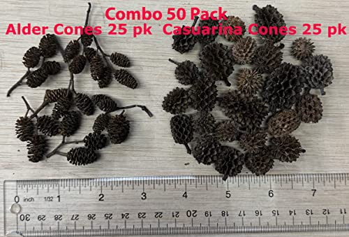 Alder & Casuarina Cones Betta Shrimp Tank Promotes Natural Habitat, Breeding, Tannin Producing Improves Immunity, Easy to Use, by Awesome Aquatic (50-25 ea Alder/Casuarina) - size: 50 - 25 ea Alder/Casuarina