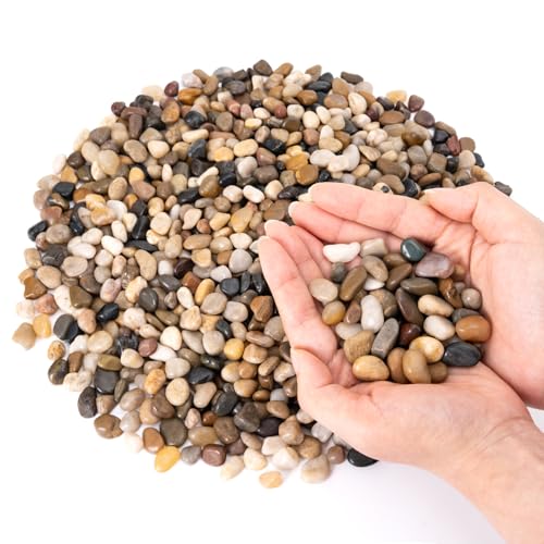 GreatBuddy 5-lb Pebbles for Indoor Plants, 3/8" Pea Gravel for Vases, Small Rocks for Succulents, Fish Tanks, Aquariums, Terrarium, Drainage Pebbles for Potted Plants, River Rocks for Landscaping - color: Natural-5lb, size: Medium-3/8 Inch