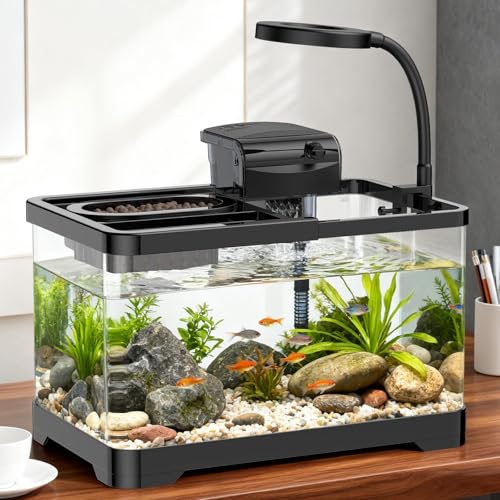 Pawfly 2 Gallon Fish Tank, Small Aquarium Kit, Betta Fish Tank Starter Kit with 6 W LED Light, 65 GPH Filter, Siphon Vacuum Water Changer & Basket, Aquarium for Betta, Shrim, or Small Fishes - color: Black-01