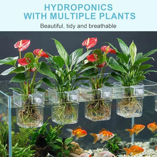 4 Pack Clear Aquarium Plant Holder Top Hanging for Fish Tank, Aquariums Planter Basket Pots for Aquatic Plants