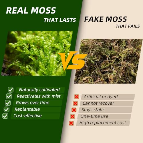 Live Moss Duo Pack 2 Types of Real Live Sheet/Sphagnum Moss for Terrariums, Terrarium Mosses Landscaping, Reptile Tank Accessories, Snake & Gecko Humidity Substrate Mosses for Crafts & Plant Décor