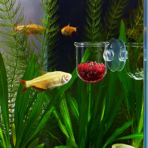 WEAVERBIRD Aquarium Crystal Glass Cone Feeder Red Worm Fish Tank Plant Shrimp Feeder Punch Cup Fish Feeding Cup with Suction Cup, 2 Pack