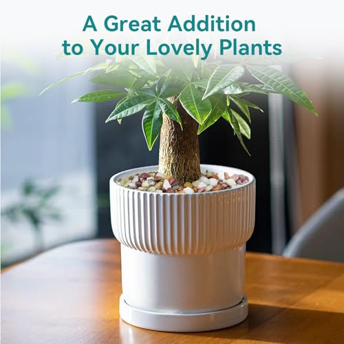 5lbs Pebbles for Indoor Plants, 3/8 Inch Small Rocks for Potted Plants, Succulents, Vase Fillers, Cactus Planters, Bird Bath, Fountain, Outdoor Garden Landscaping - color: Colorful