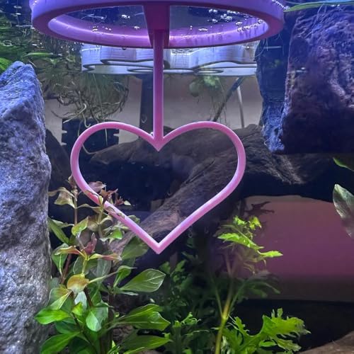 Floating Heart Betta Training Ring, Heart Active Betta Training Floating Ring, Floating Feeder, Betta Loops for Aquarium Decor, Pink, 3.8in x 3.7in (Pink, Single) - color: Pink, size: Single