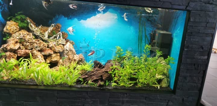 Aquarium Background Poster Under Water Cave Sunlight Fish Tank Backdrop Decorations PVC Fish Tank Background (48" x 24"/ 122 x 61cm) - size: 48" x 24"/ 122 x 61cm