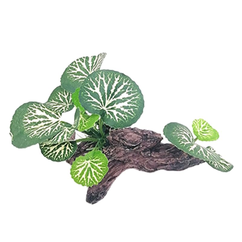 Fish Tank Decorations Silk Aquarium Plants for Betta Fish African Dwarf Frog Tank Accessories