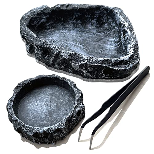 Reptile Feeding Dish Water Bowls 2 Pack Food Dish Water Dish Reptile Dish with Breadworm Feeding for Dragon Leopard Gecko Lizard Spider Scorpion Chameleon ((Round + Corner) Bowl+Tongs) - color: (Round + Corner )Bowl+Tongs