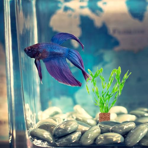 10pcs Aquarium Plant Holder Rings Anti-Floating Fixed Water Plant Anchors for Planted Fish Tanks Aquascaping Accessories Fish Tank Decoration