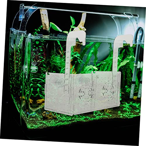 POPETPOP Aquarium Fry Box Acrylic Fish Breeding Box Cups for Isolation and Nursery and Non-deformable Fish Tank Accessory for Improved Survival Rates