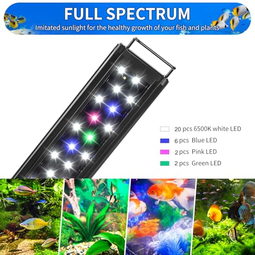 AQUANEAT LED Aquarium Light for 16 to 20 Inch Fish Tank, Auto On Off with Timer, Full Spectrum, Adjustable Brightness, Daylight Moonlight Mode, for Fresh Water Low-to-Mid Light Plants - size: 16"-20"