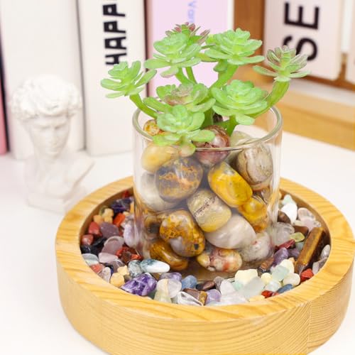 DUQGUHO Crazy Lace Agate Crystals Healing Crystal Stones Set Natural Crystals Bulk Irregular Stones 0.45 lbs - color: Crazy Lace Agate
