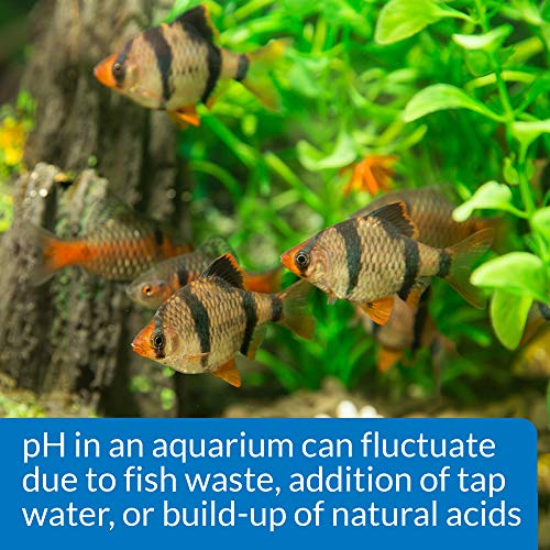 API pH TEST & ADJUSTER KIT 250-Test Freshwater Aquarium Water pH Test and Adjuster Kit - size: 250 test, style: pH & Adjuster
